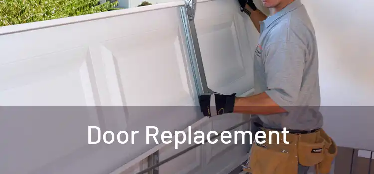  Door Replacement 