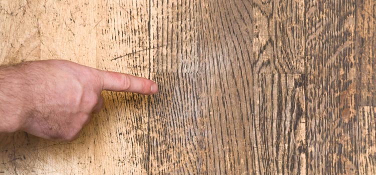 Wood Door Scratch Repair in Tara Hills